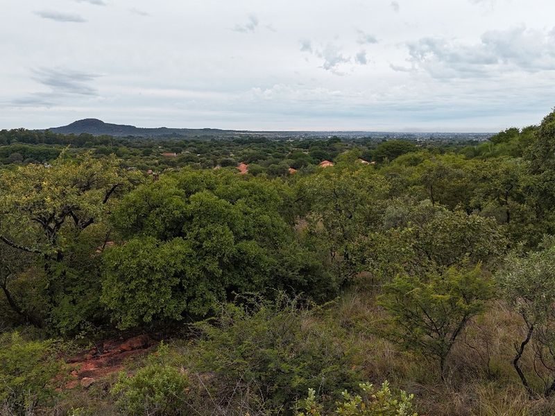 A scenic elevated view overlooking a lush, tree-covered landscape and distant horizon, showcasing the natural beauty of the vacant residential land.