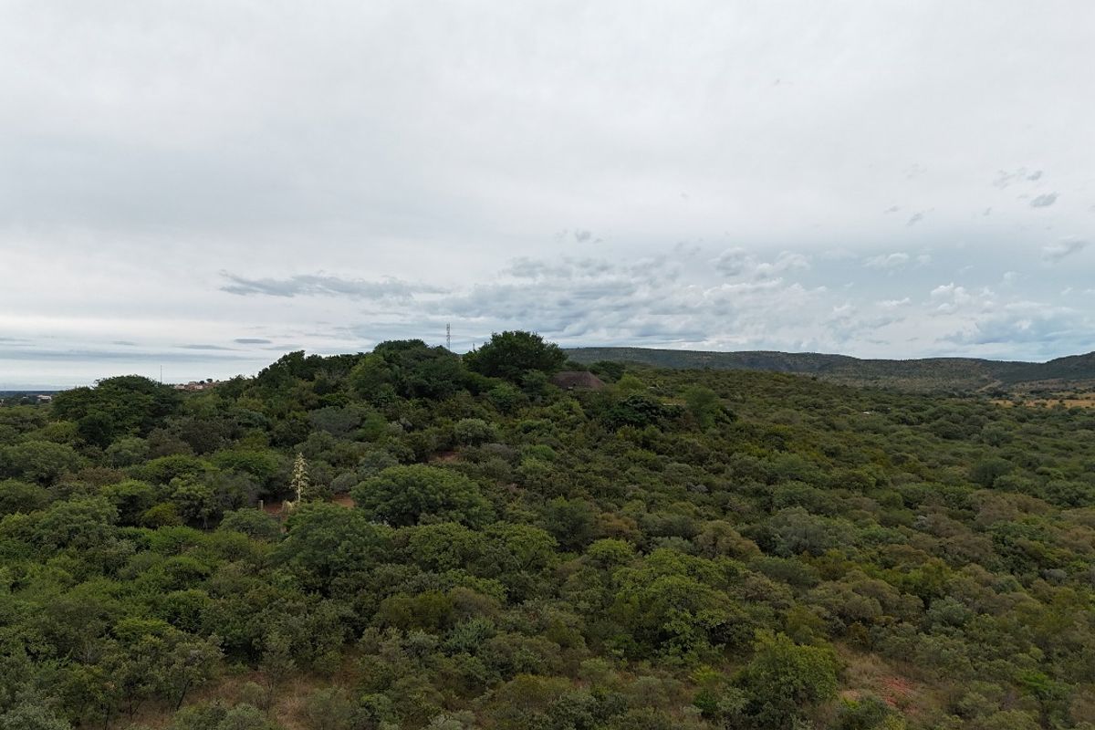 An aerial view of a large, undeveloped residential plot featuring dense native vegetation and hilly terrain.