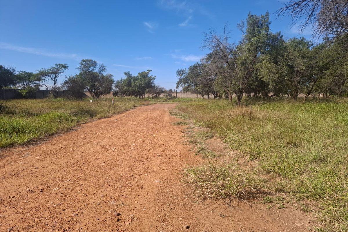 A view of a dirt access road leading into a vacant residential plot, featuring established trees and perimeter boundary walls.