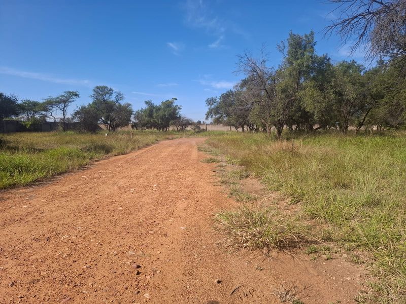 A view of a dirt access road leading into a vacant residential plot, featuring established trees and perimeter boundary walls.