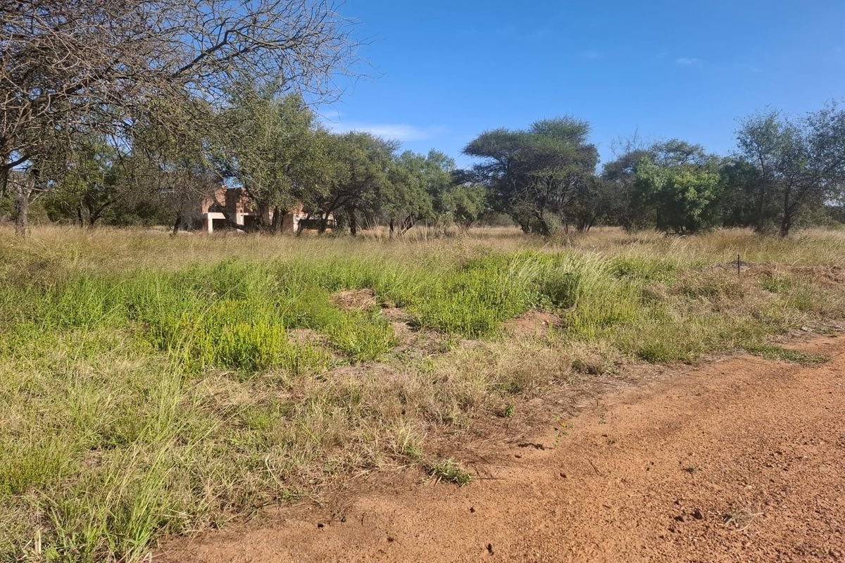 A view of a vacant residential plot featuring native vegetation and access via a dirt road.