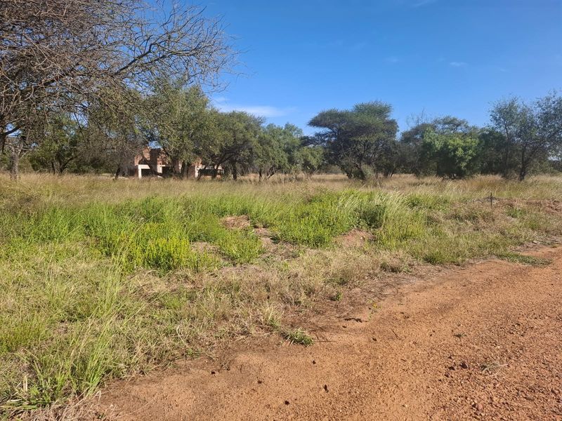 A view of a vacant residential plot featuring native vegetation and access via a dirt road.