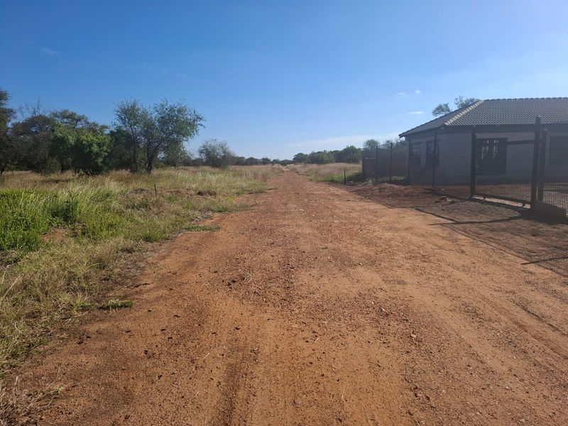 A view of a dirt access road leading through a vacant residential plot, bordered by natural vegetation and existing perimeter fencing.