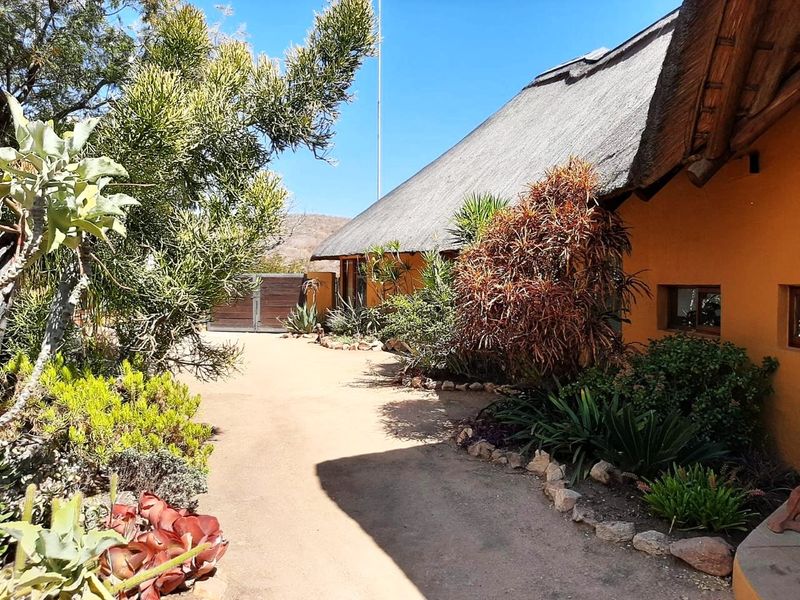 Front exterior view of a property featuring a traditional thatch roof, a sandy driveway, and established garden landscaping.