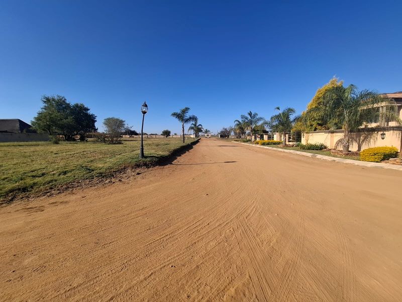A view of an unpaved residential street with perimeter walls and established landscaping in a vacant land residential area.
