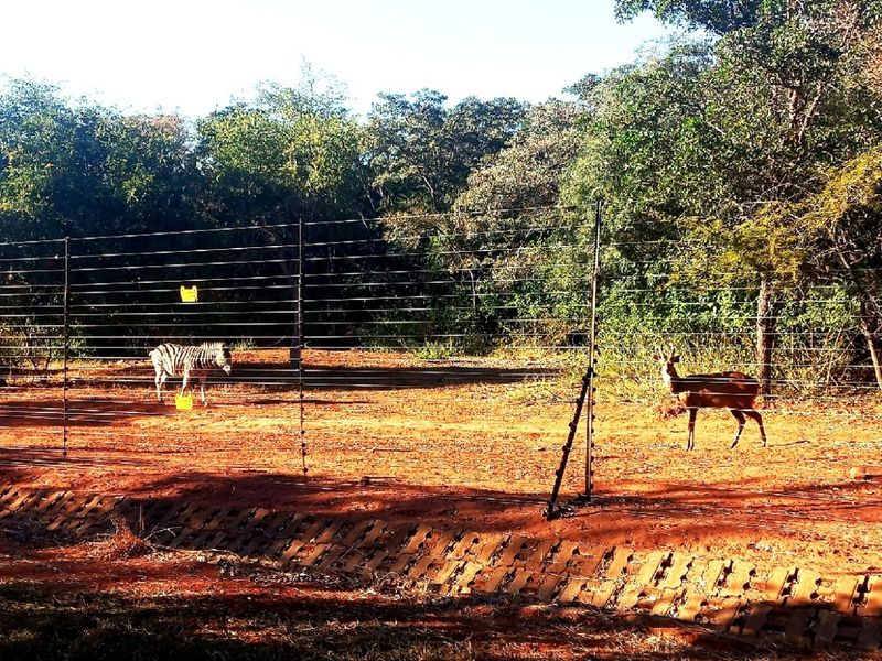A view of a vacant residential plot featuring wire and electric fencing with a concrete drainage channel along the perimeter.