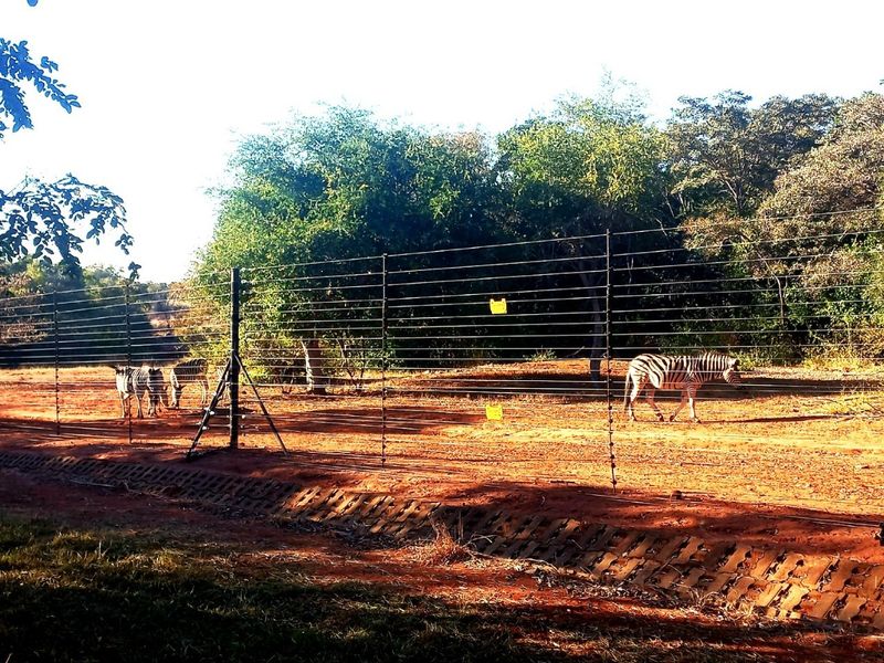 A view of the residential land perimeter featuring wire fencing and a drainage channel, set against a natural bushveld backdrop.