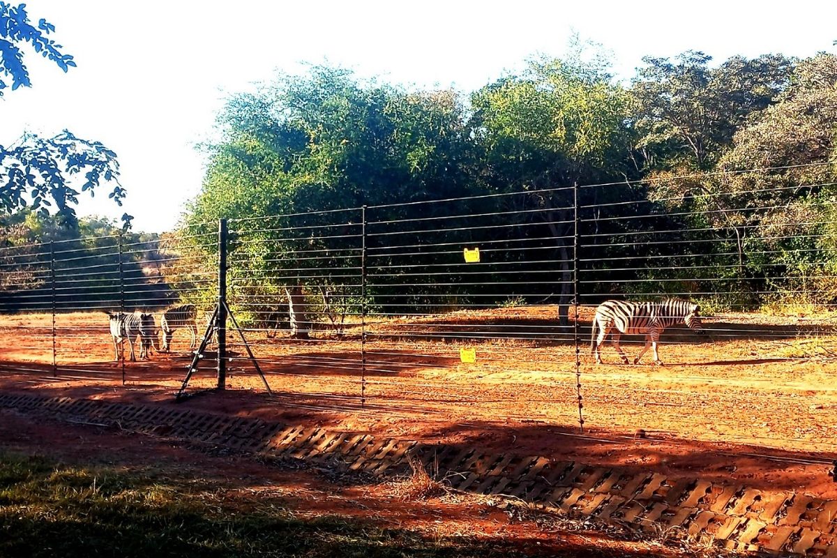 A view of the residential land perimeter featuring wire fencing and a drainage channel, set against a natural bushveld backdrop.