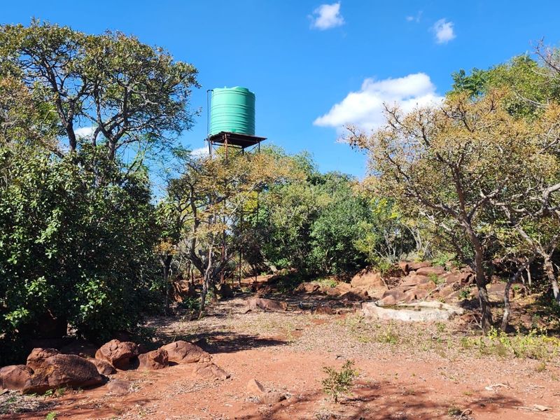 A natural garden area featuring an elevated water storage tank on a metal stand and a concrete water trough set among indigenous trees.