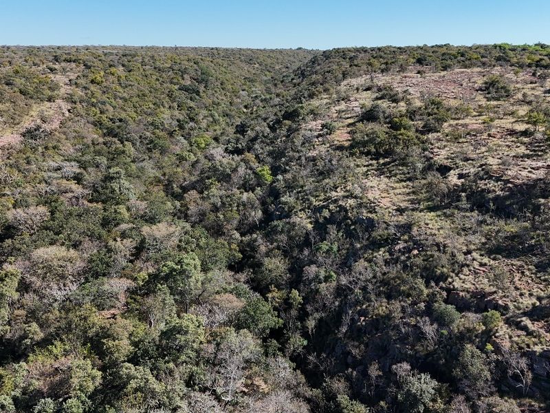 An expansive aerial view of the natural landscape, showcasing the rugged terrain and dense indigenous vegetation of the farm property.