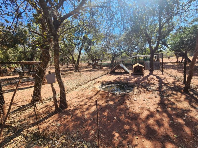 A fenced outdoor area on the farm featuring mature trees, a small water feature, and basic animal enclosures.