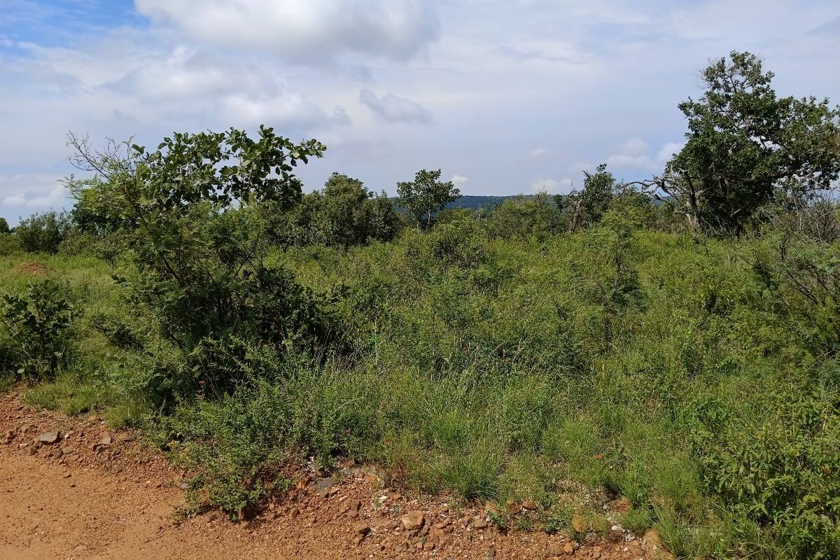 A view of an undeveloped residential plot featuring natural vegetation and native trees, suitable for future construction.