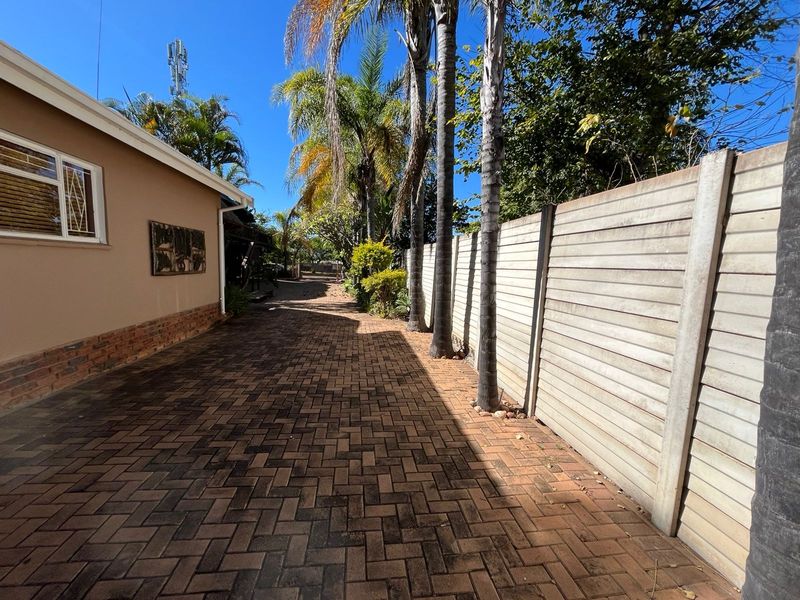 A paved side pathway or driveway area featuring a precast concrete boundary wall and established palm trees along the side of the house.