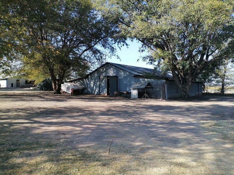 A large corrugated iron shed structure situated on a gravel yard, surrounded by mature trees on a small holding property.