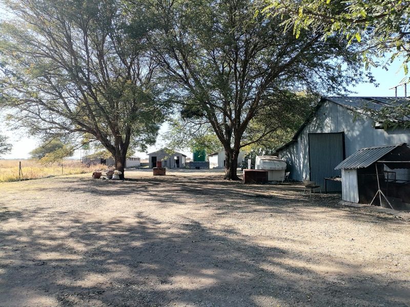 A spacious outdoor yard area on a small holding featuring multiple corrugated iron outbuildings, mature trees, and a water storage tank.
