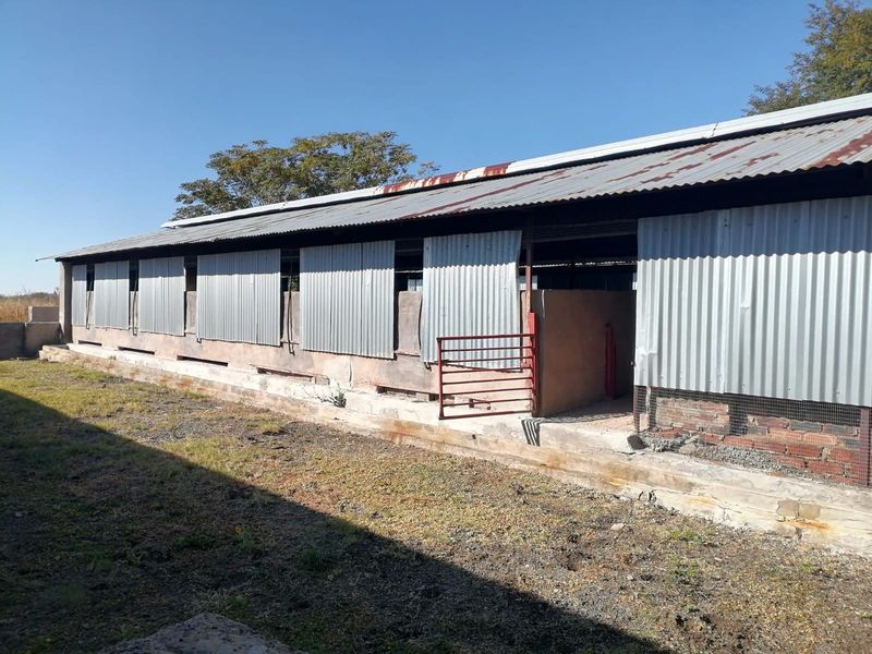 Exterior view of a long agricultural outbuilding featuring corrugated iron roofing and wall cladding with visible signs of wear and structural aging.