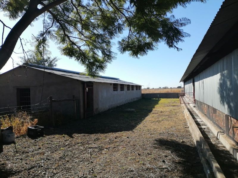 Exterior view of agricultural outbuildings on a small holding, featuring concrete structures with corrugated metal roofing and basic security fencing.