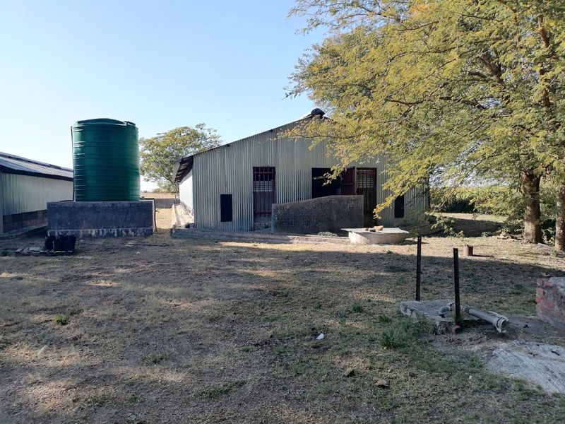 Exterior view of a corrugated metal agricultural shed featuring a large water storage tank and concrete infrastructure on the small holding.
