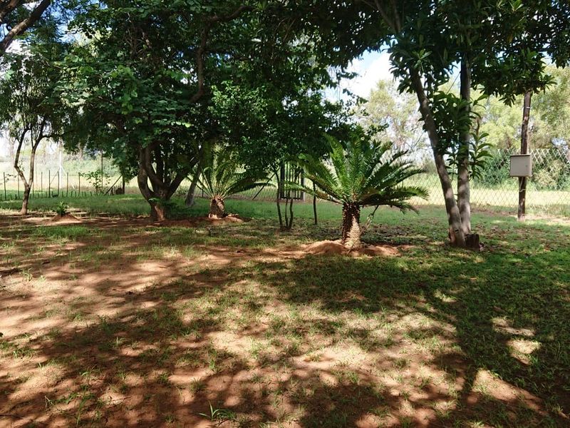 A spacious garden area featuring mature trees, established cycads, and wire mesh perimeter fencing on a small holding property.