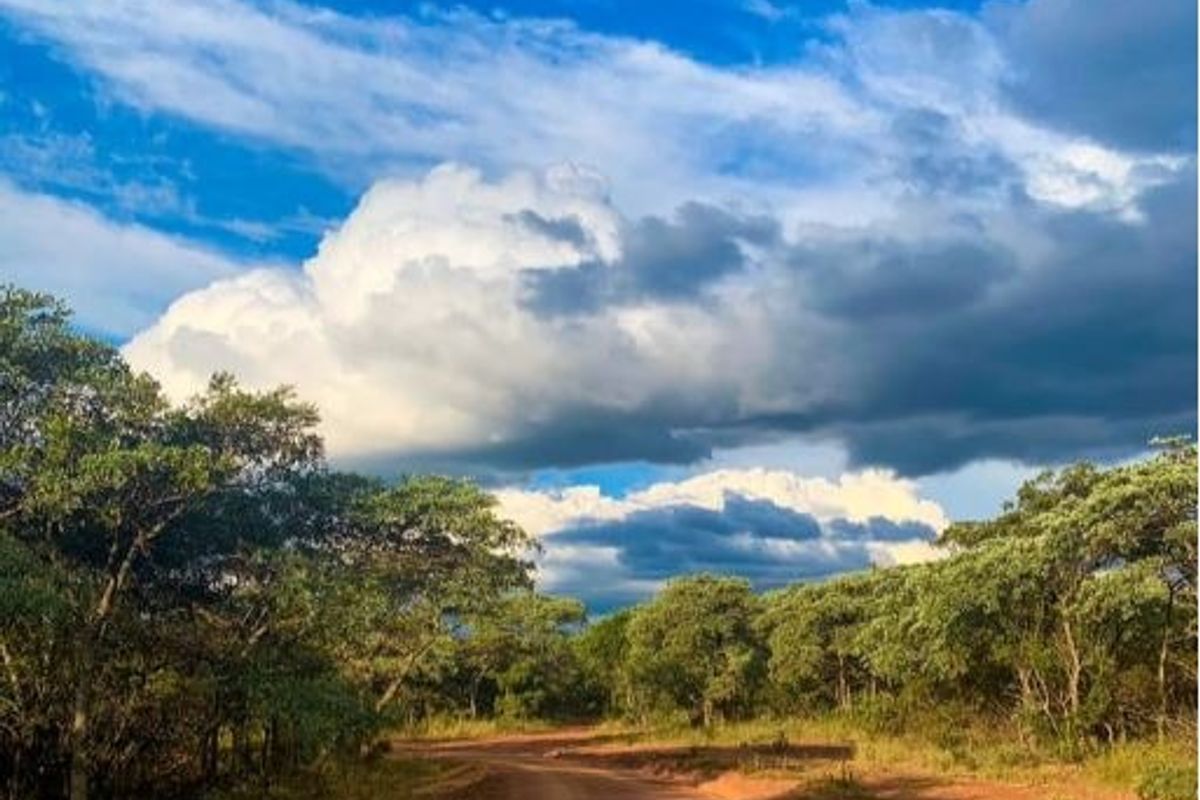 A scenic view of a dirt access road winding through natural bushveld and indigenous trees under a dramatic cloudy sky.