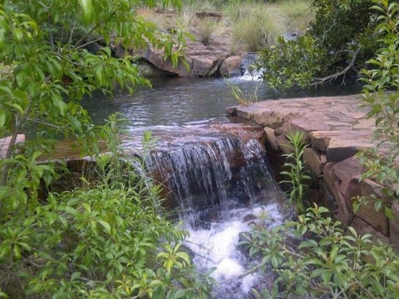 A scenic view of a natural stream featuring a small waterfall and stone retaining wall, surrounded by lush native vegetation.