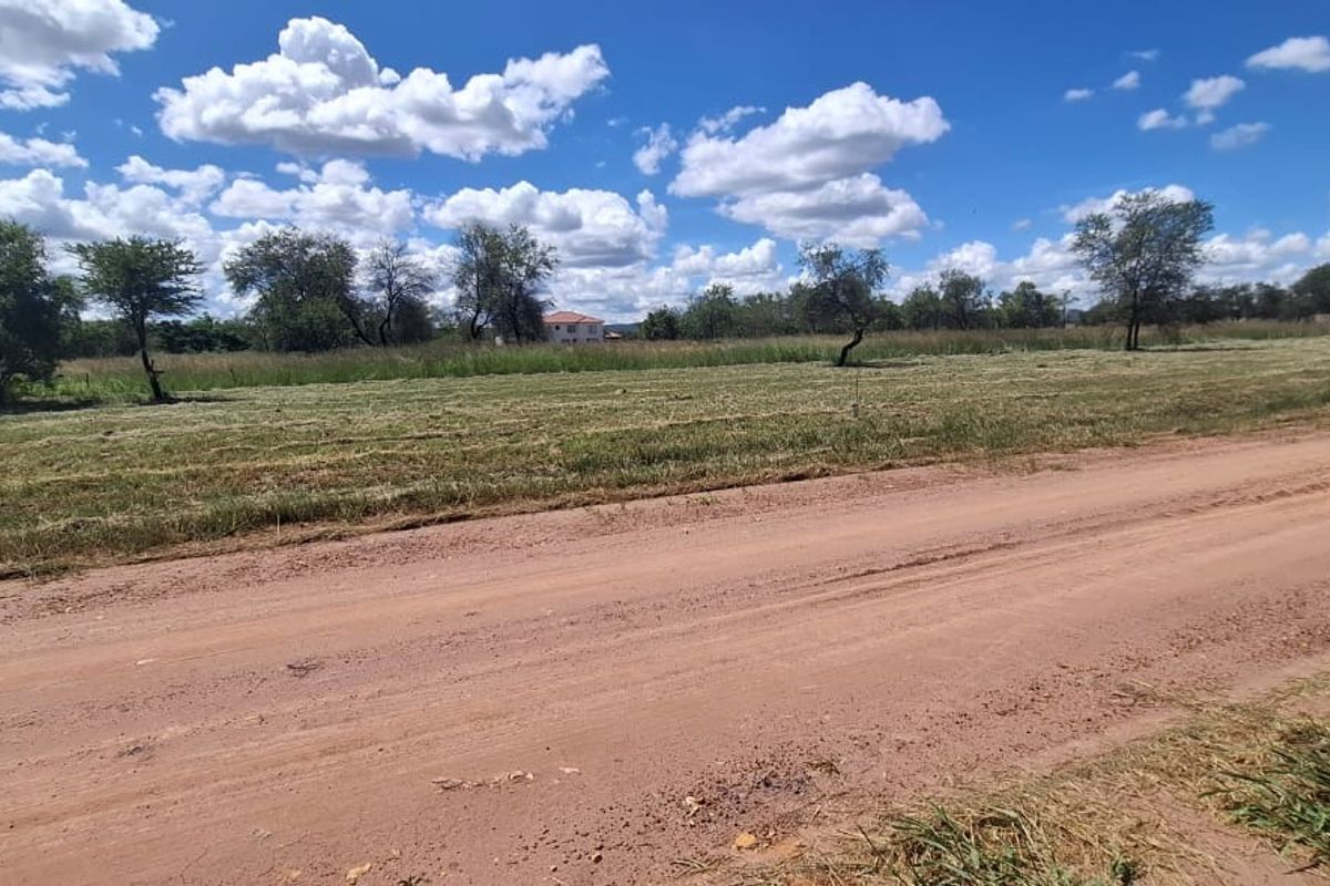 A view of a vacant residential plot from an unpaved access road, featuring open grassland and scattered trees.