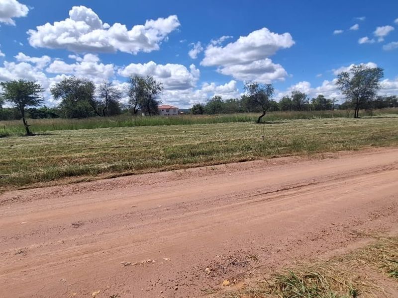 A view of a vacant residential plot from an unpaved access road, featuring open grassland and scattered trees.
