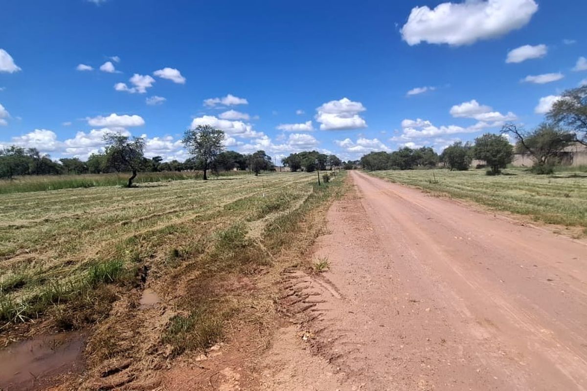 A view of an unpaved dirt road running alongside a vacant residential plot with natural grassland and scattered trees.
