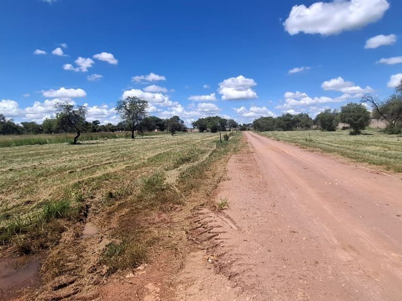 A view of an unpaved dirt road running alongside a vacant residential plot with natural grassland and scattered trees.