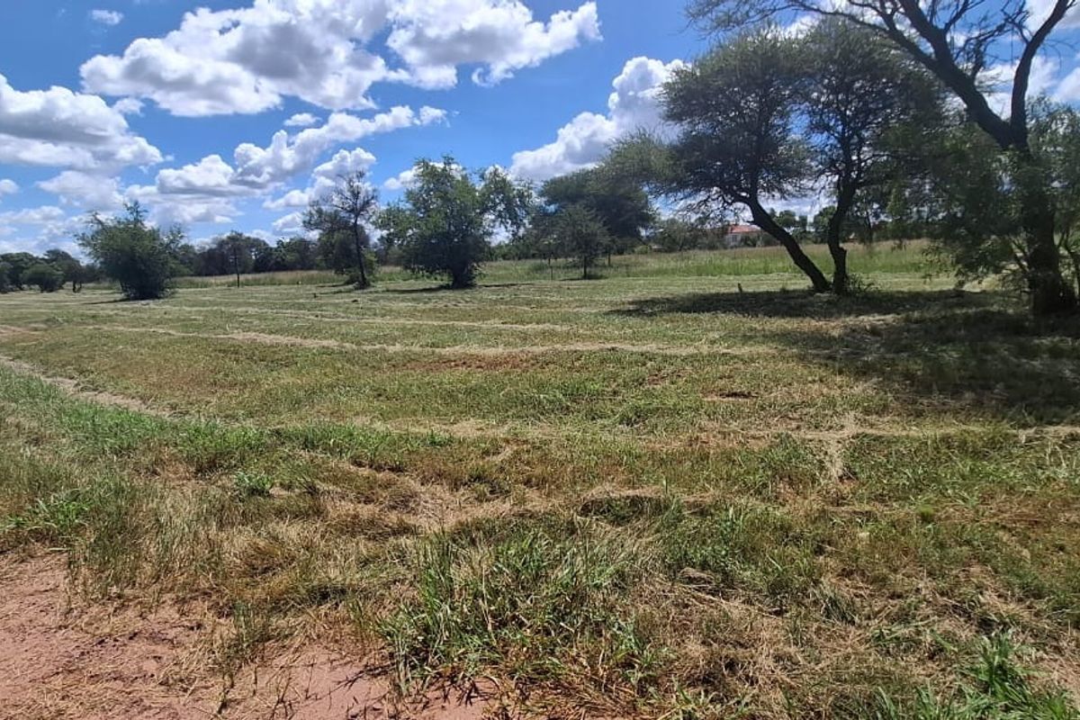 A view of a vacant residential plot featuring natural grassland, mature trees, and adjacent dirt road access.