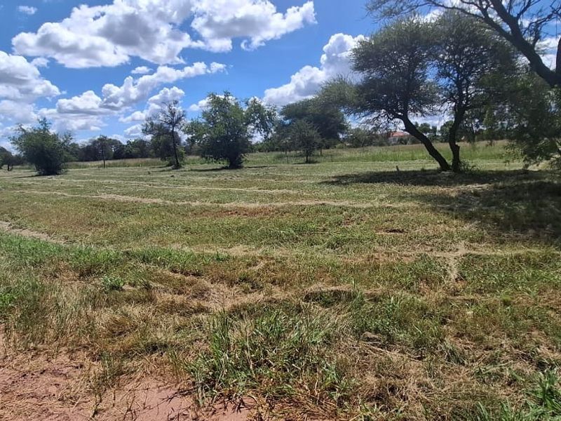 A view of a vacant residential plot featuring natural grassland, mature trees, and adjacent dirt road access.