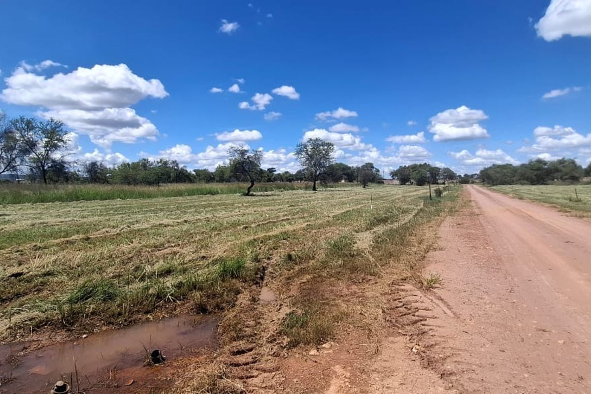 A view of an unpaved dirt road bordering a vacant residential plot with natural vegetation and scattered trees under a clear blue sky.