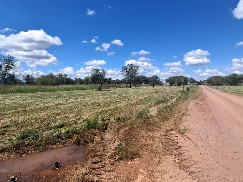 A view of an unpaved dirt road bordering a vacant residential plot with natural vegetation and scattered trees under a clear blue sky.