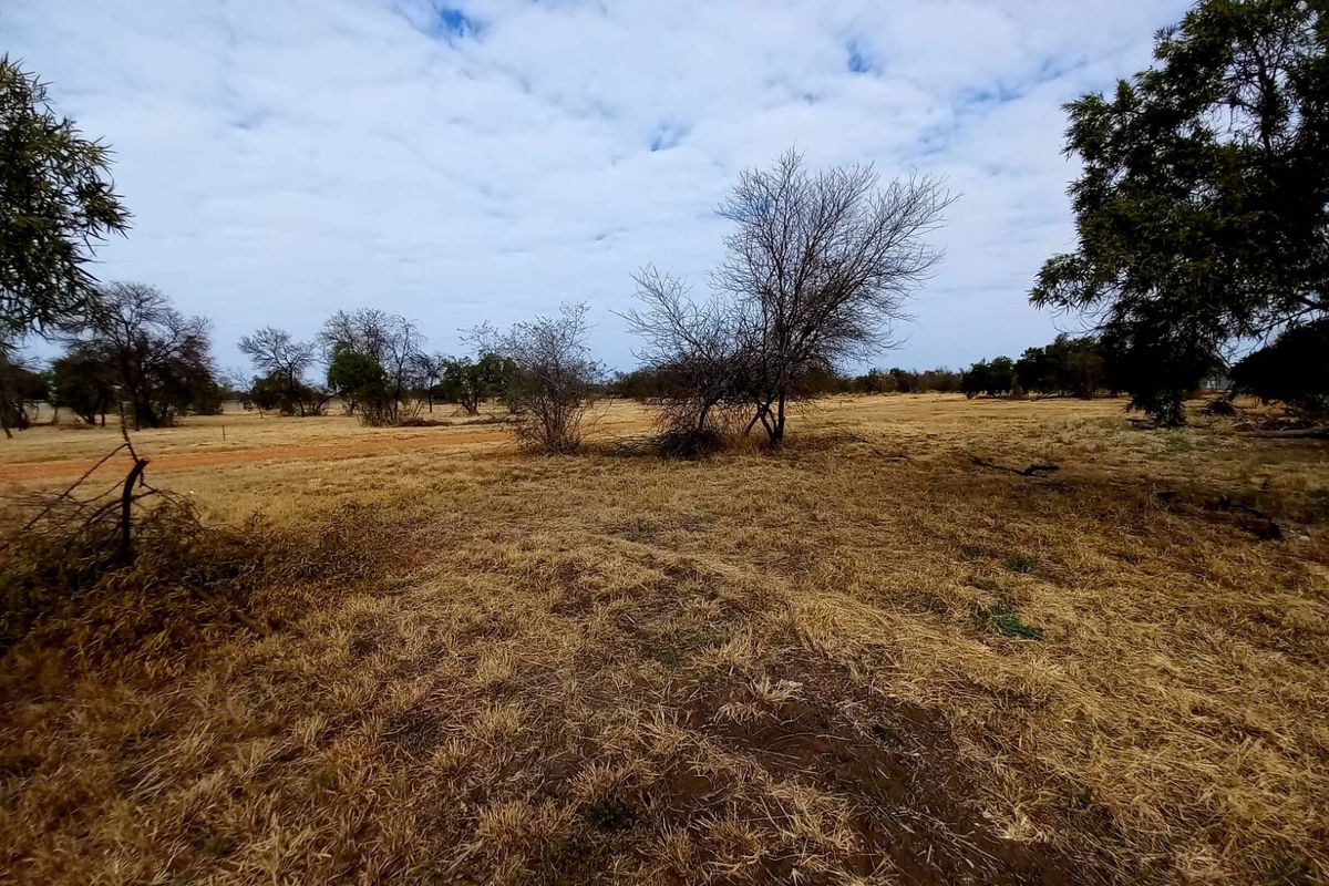 A wide-angle view of a vacant residential plot featuring dry grassland and scattered native trees under a cloudy sky.