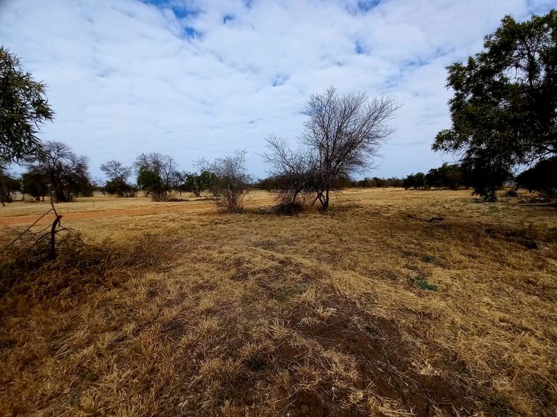 A wide-angle view of a vacant residential plot featuring dry grassland and scattered native trees under a cloudy sky.