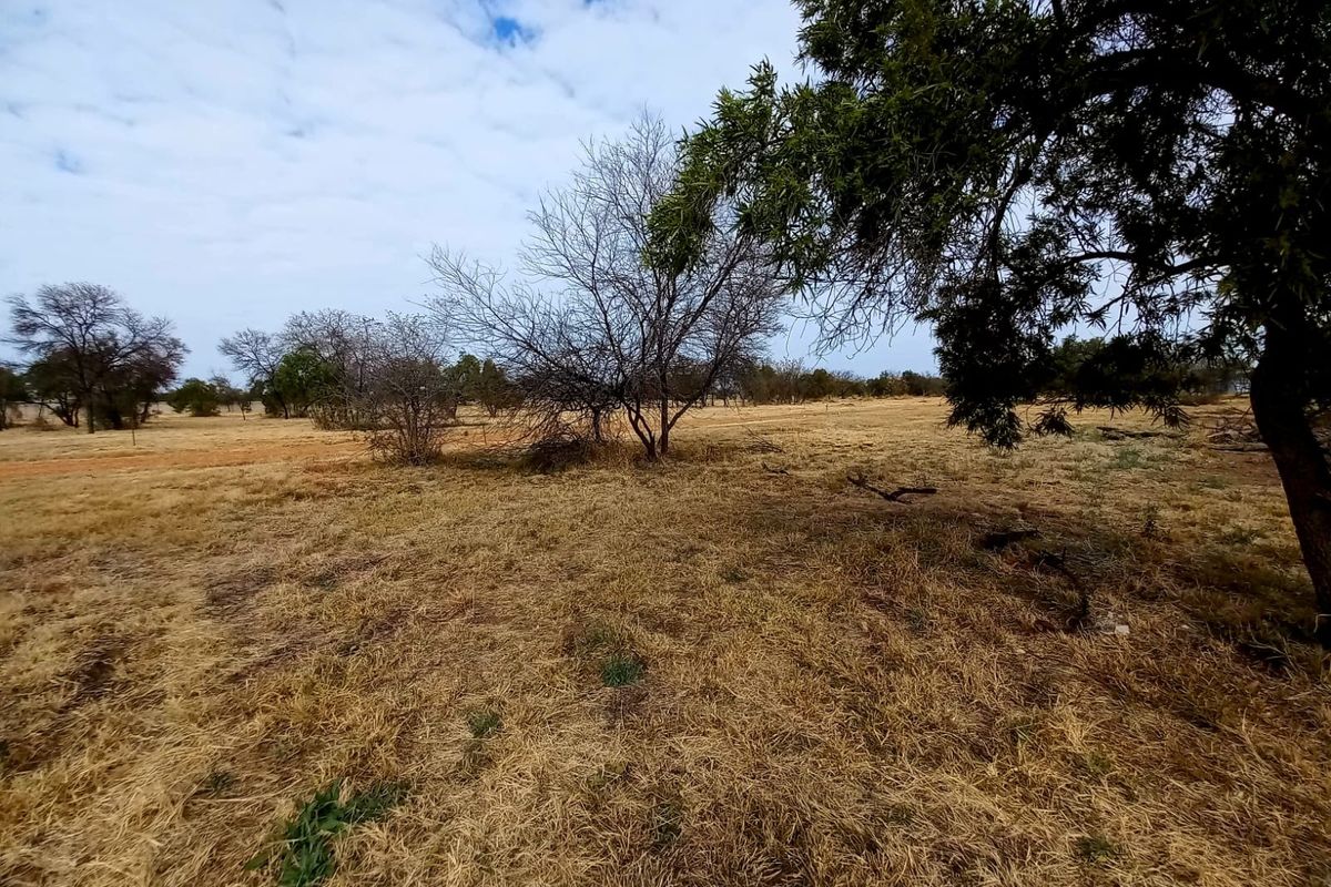 A view of the open, undeveloped residential land featuring natural grassland and mature trees.
