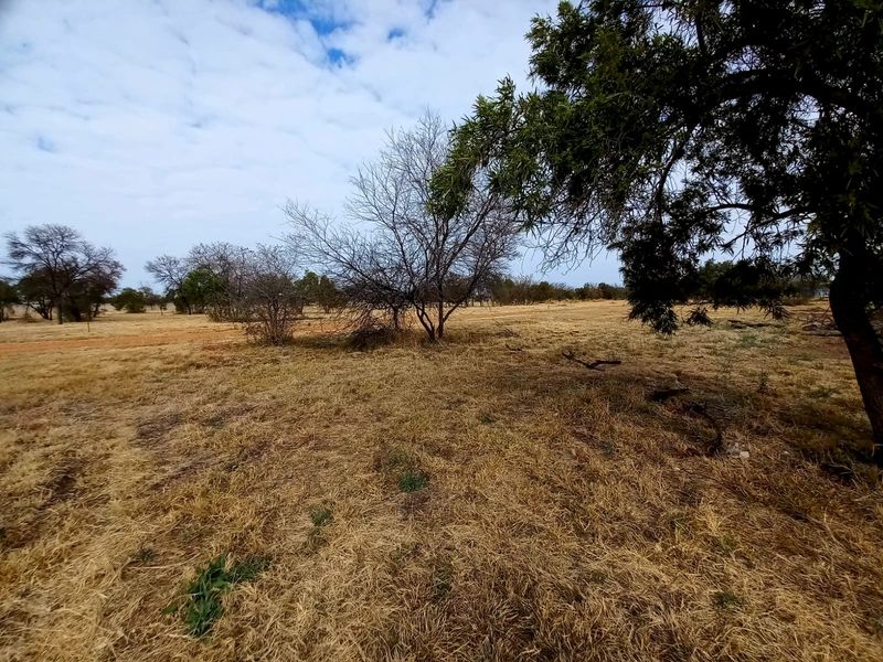 A view of the open, undeveloped residential land featuring natural grassland and mature trees.