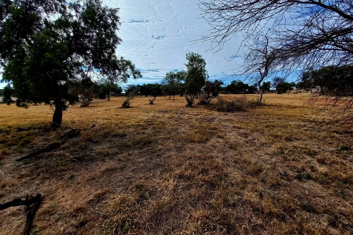 A wide-angle view of a vacant residential plot featuring established trees and dry grassland, offering a blank canvas for future development.