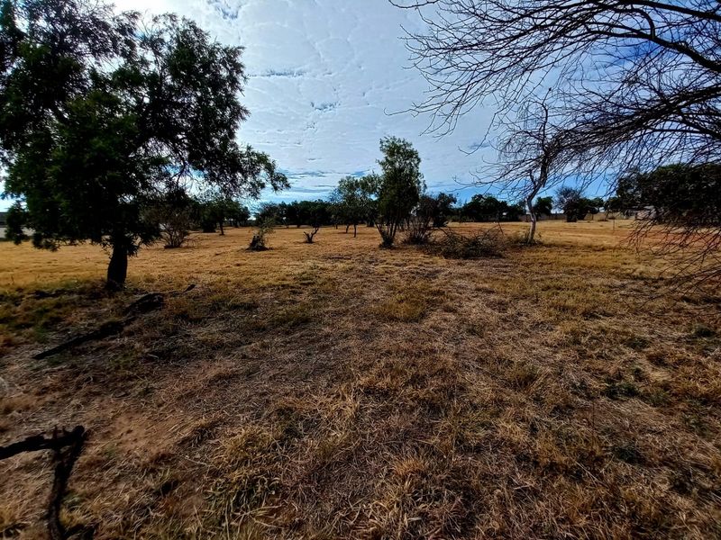 A wide-angle view of a vacant residential plot featuring established trees and dry grassland, offering a blank canvas for future development.