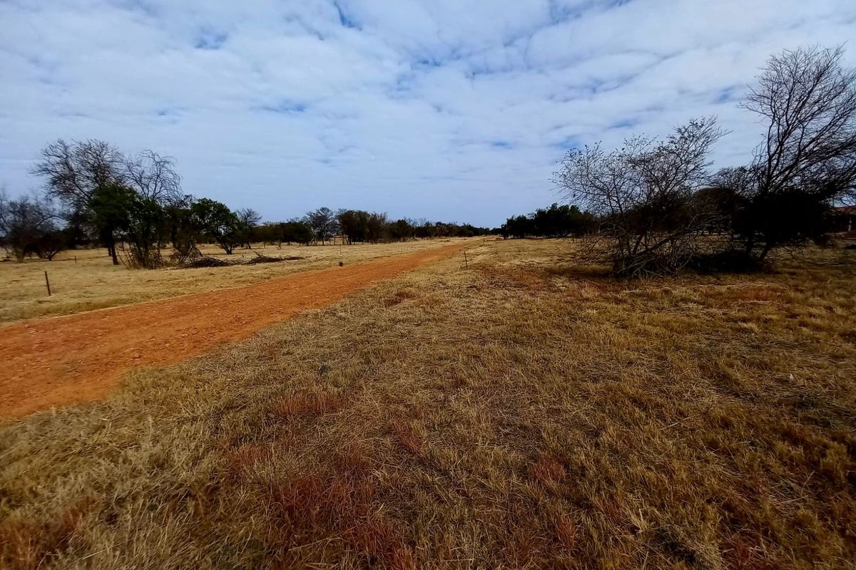 A view of a vacant residential plot featuring a dirt access road and natural vegetation.
