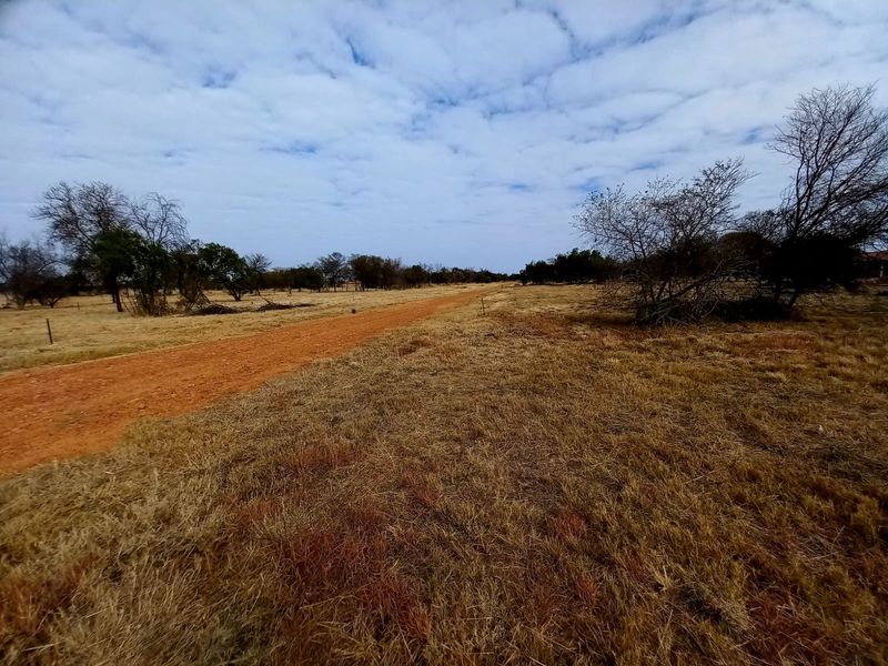 A view of a vacant residential plot featuring a dirt access road and natural vegetation.
