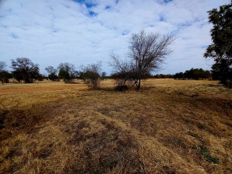 A view of the vacant residential land featuring natural vegetation and open space.