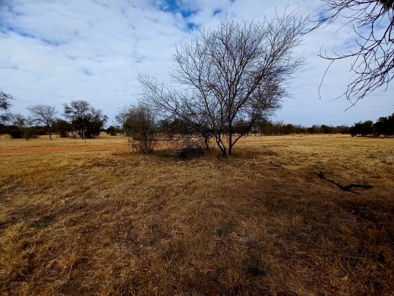 A wide-angle view of the vacant residential land featuring natural grassland and mature trees under a cloudy sky.