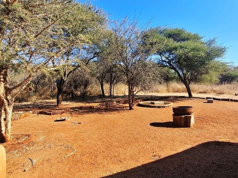 A natural, open-air garden area featuring mature trees, native landscaping, and a central fire pit, offering a rustic outdoor space.