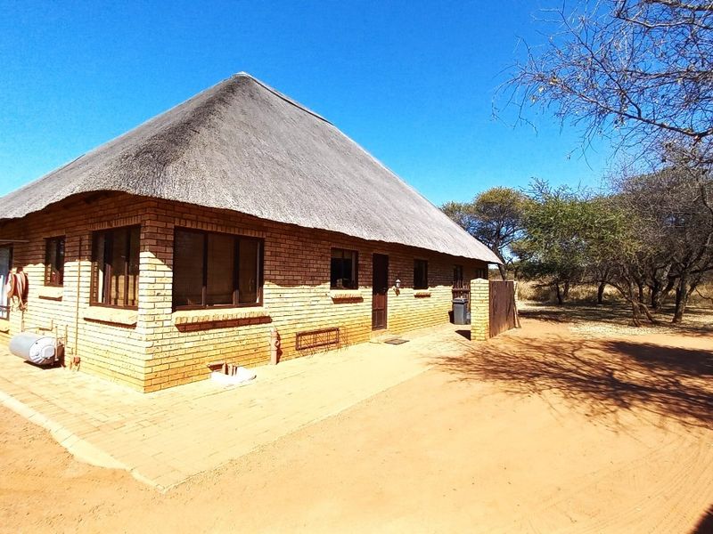 Rear view of a face brick house featuring a traditional thatch roof and a paved patio area set in a natural bushveld environment.
