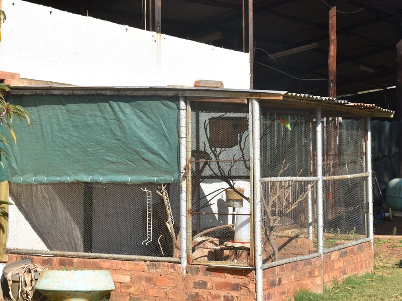 An outdoor animal enclosure or aviary featuring a brick base, steel frame, wire mesh walls, and a corrugated metal roof.