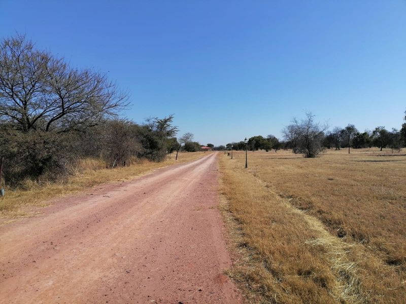 A view of a dirt access road leading through a vacant residential plot with established trees and street lighting.