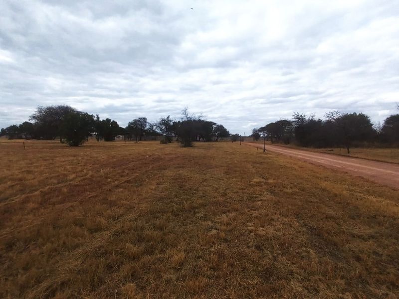 A view of a vacant residential plot featuring a dirt road access and natural vegetation.