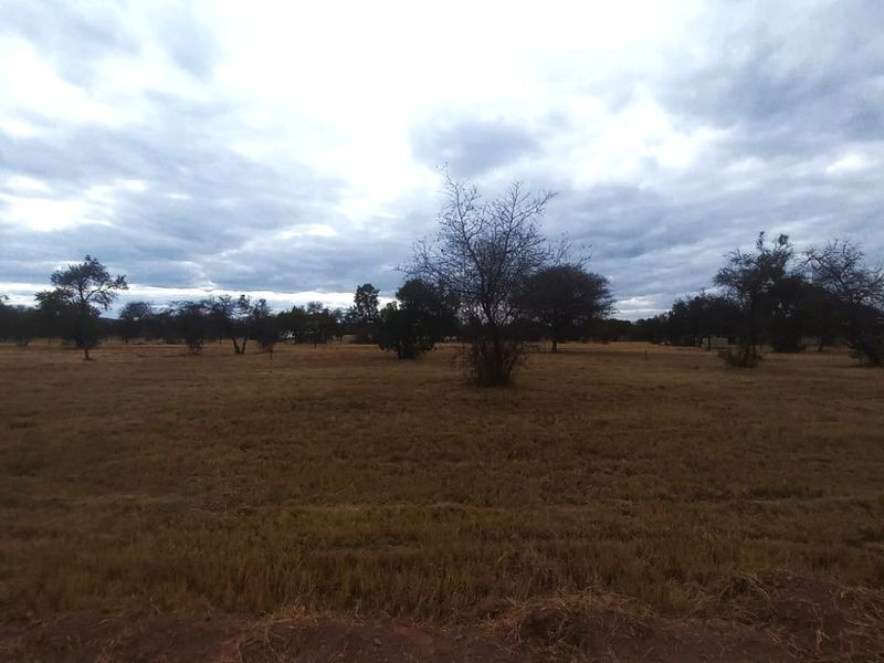 A wide-angle view of a vacant residential plot featuring natural grassland and scattered native trees under a cloudy sky.