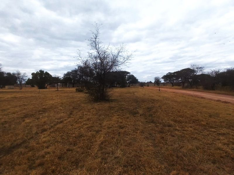 A wide-angle view of a vacant residential plot featuring natural vegetation, native trees, and an unpaved access path.